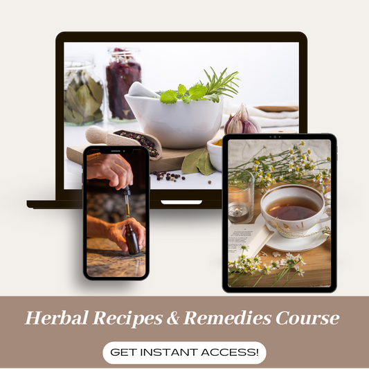 Herbal Remedies and Recipes Course & Full Access