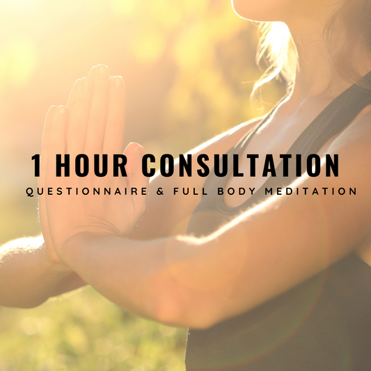 1 Hour Consultation & Meditation